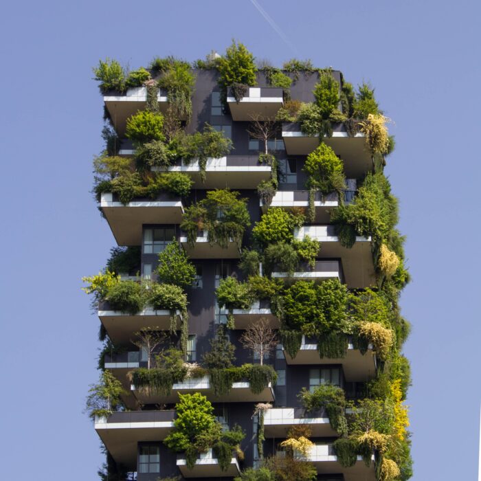 Rethinking Cities: Bringing Nature to the Urban Environment