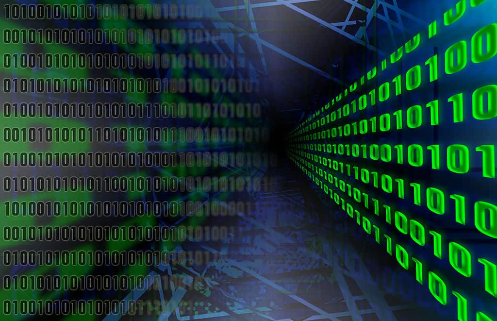The case for a Digital Ecosystem for the Environment