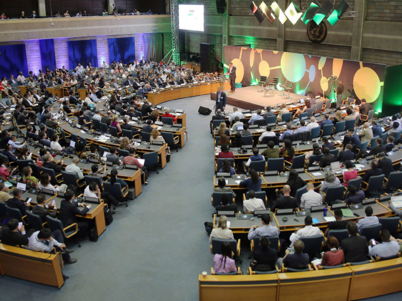 UN SPBF Second Global Session UN SPBF Second Global Session