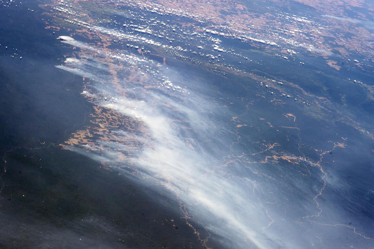 Earth Alliance launches emergency fund to save ‘lungs of our planet’