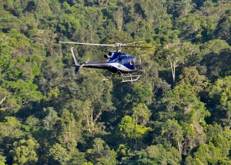 Illegally tapping French Guiana’s forest of gold