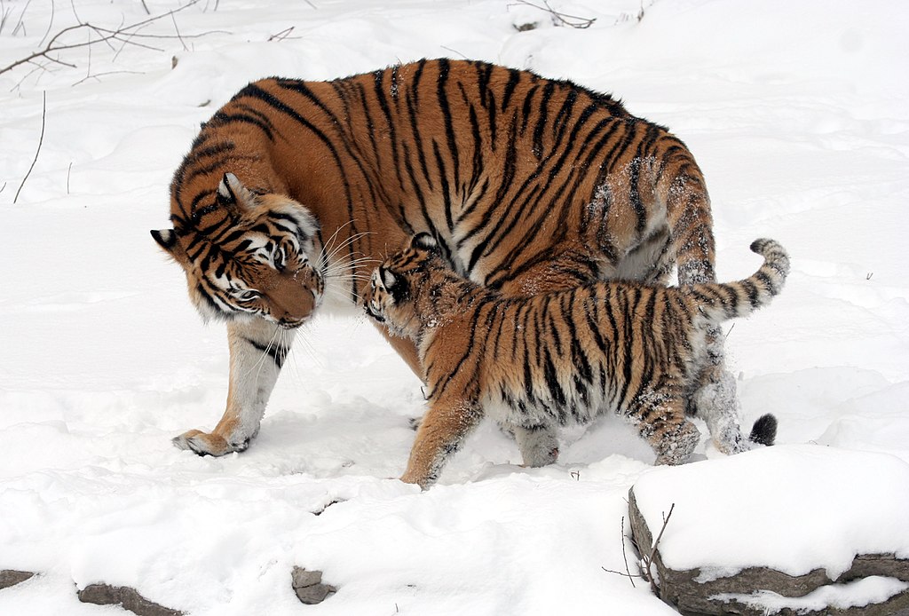 Urgent transformational change needed to halt biodiversity loss