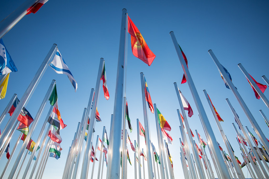 Business leadership at COP25