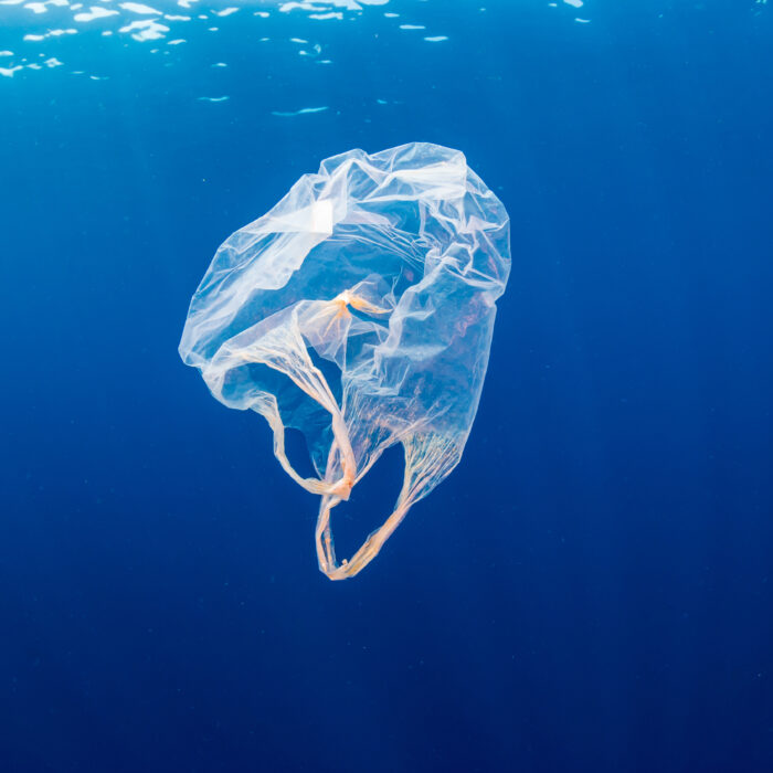 Managing Risk: Marine Litter and Microplastics Mitigation and Prevention