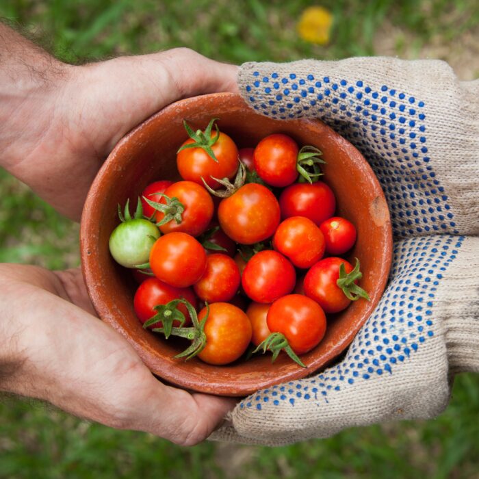 Nature-positive Food Systems for a Healthy Planet and Healthy People