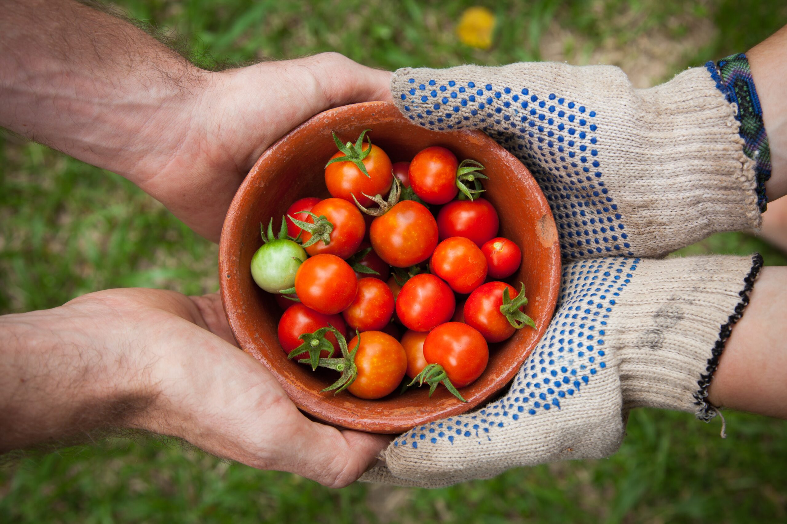 Nature-positive Food Systems for a Healthy Planet and Healthy People