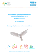 Summary of Key Outcomes and Recommendations