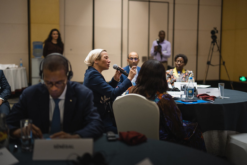 Yasmin Fouad, Egypt’s Environment Minister, takes the floor.
